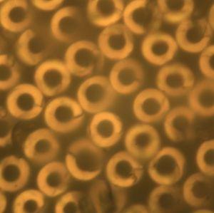 7790�ط�����(�й�)���޹�˾-�ѹ��ٿ�