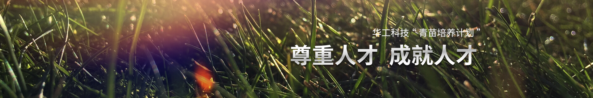 ŵƽ̨ ռ